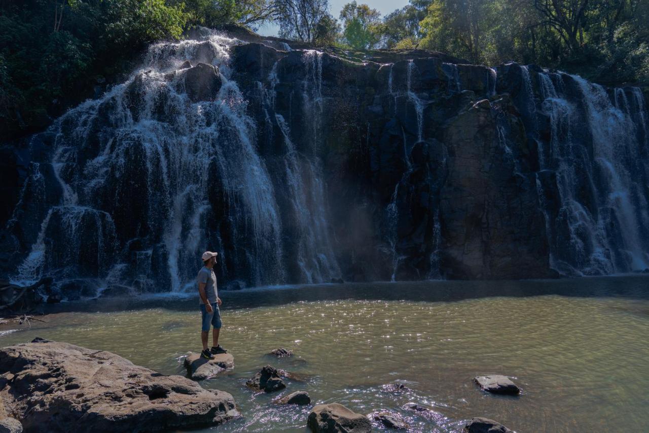 Reserva Natural Iguazu - Pristine Luxury Camp Puerto Libertad Dış mekan fotoğraf