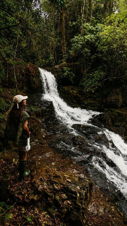 Reserva Natural Iguazu - Pristine Luxury Camp Puerto Libertad Dış mekan fotoğraf