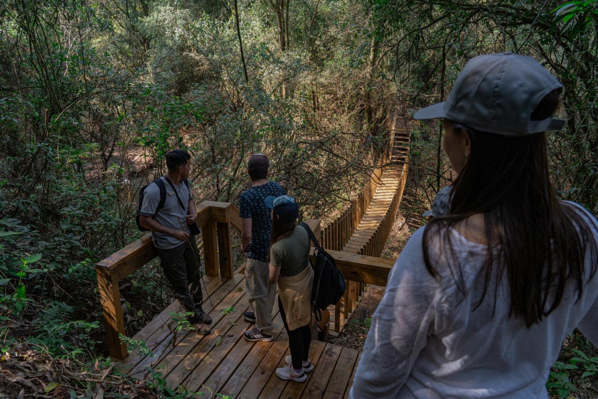 Reserva Natural Iguazu - Pristine Luxury Camp Puerto Libertad Dış mekan fotoğraf